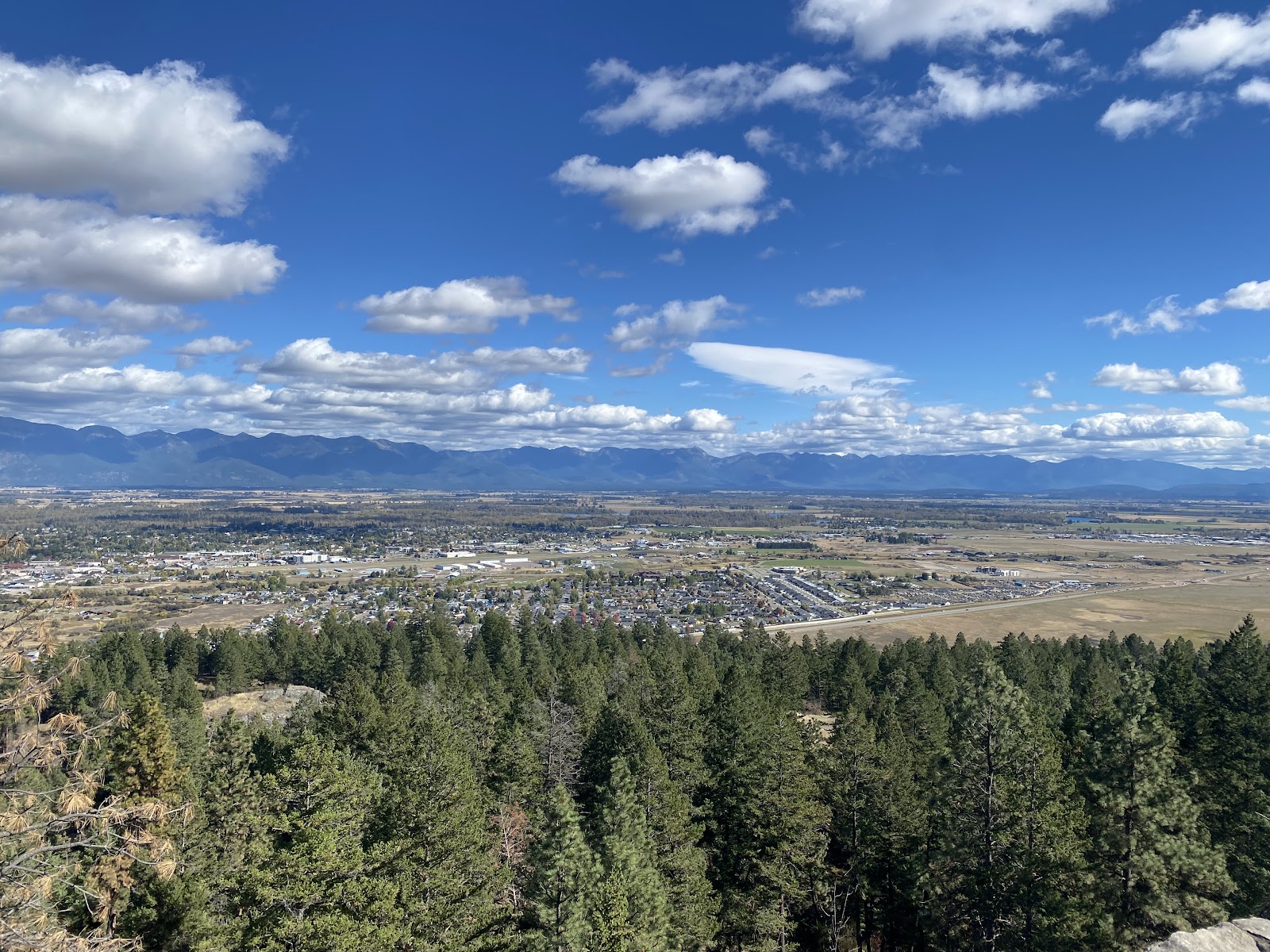 Panoramic valley view from a pine forest overlook in Glacier National Park, with a distant town and mountains under a blue sky.