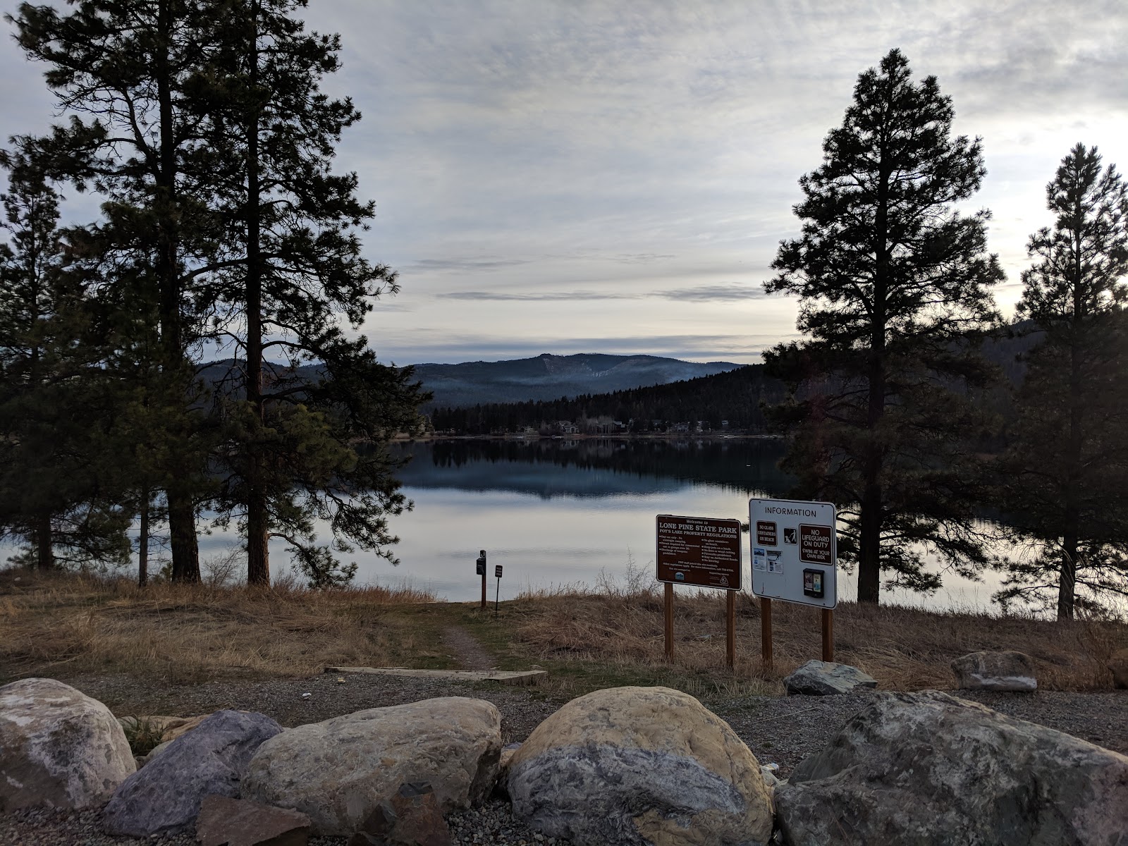 Calm alpine lake bordered by tall pines, rocky shoreline, and distant snow-capped peaks in Glacier National Park.