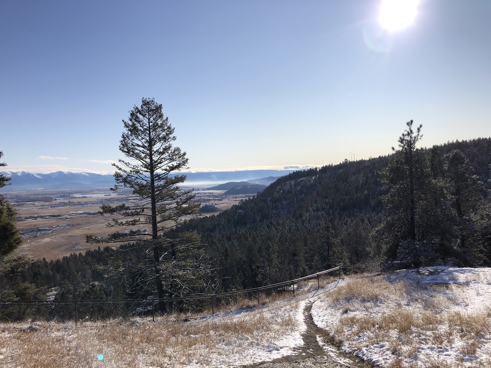 Snow-dusted trail winds through tall pine forest in Glacier National Park, perfect for December snowshoeing