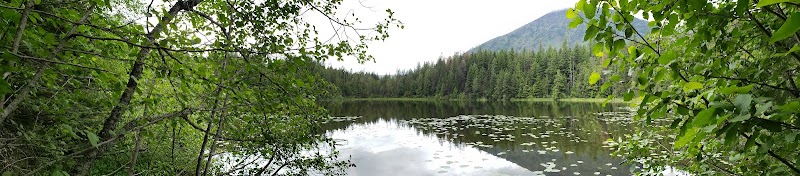 John's Lake at Glacier National Park framed by lush greenery and a calm, lily-pad dotted inlet.