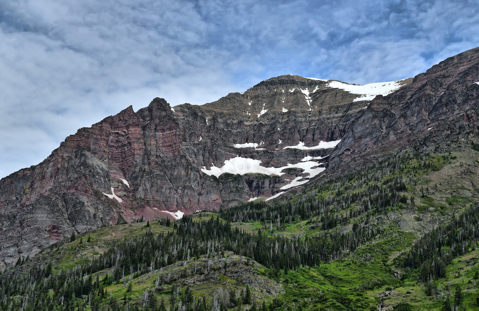 Flinsch Peak towers above evergreen slopes in Glacier National Park, with snow patches and a blue sky.