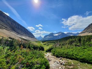 Siyeh Pass Trail