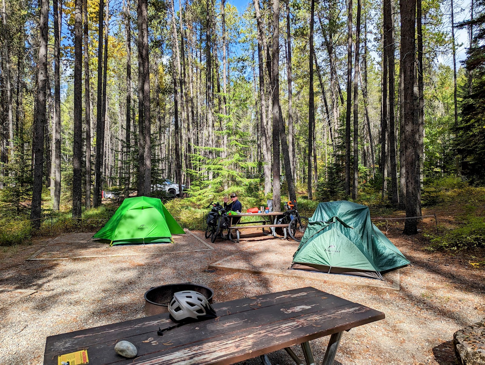 Apgar Campground tents set among tall pines in Glacier National Park, with bikes and a picnic table nearby, under bright blue sky.