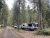 A row of RVs parked among tall pines at Apgar Campground in Glacier National Park.