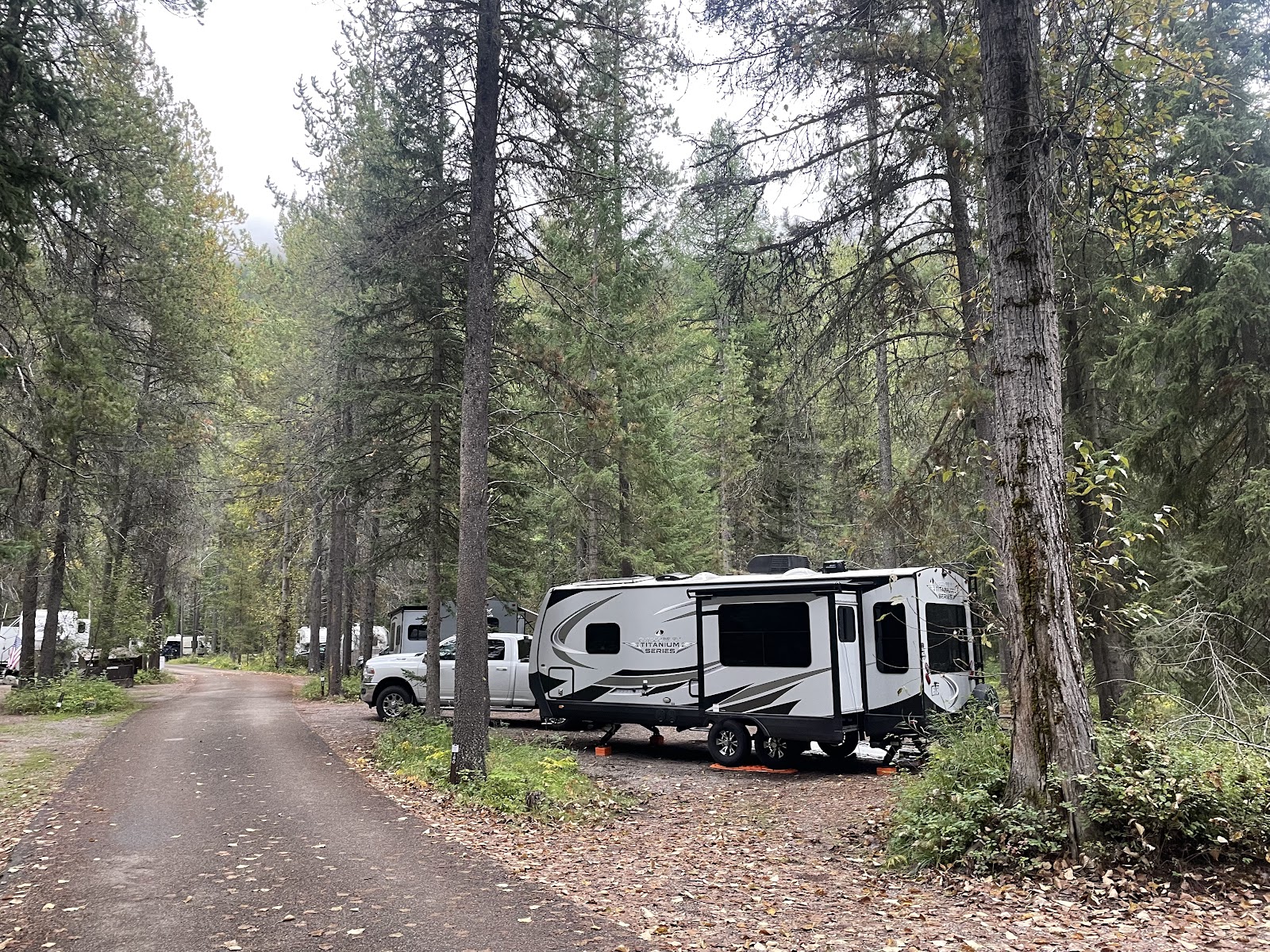 A row of RVs parked among tall pines at Apgar Campground in Glacier National Park.