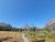 Gravel trail through a golden meadow winds toward evergreen trees and rugged peaks under a clear blue sky in Glacier National Park.