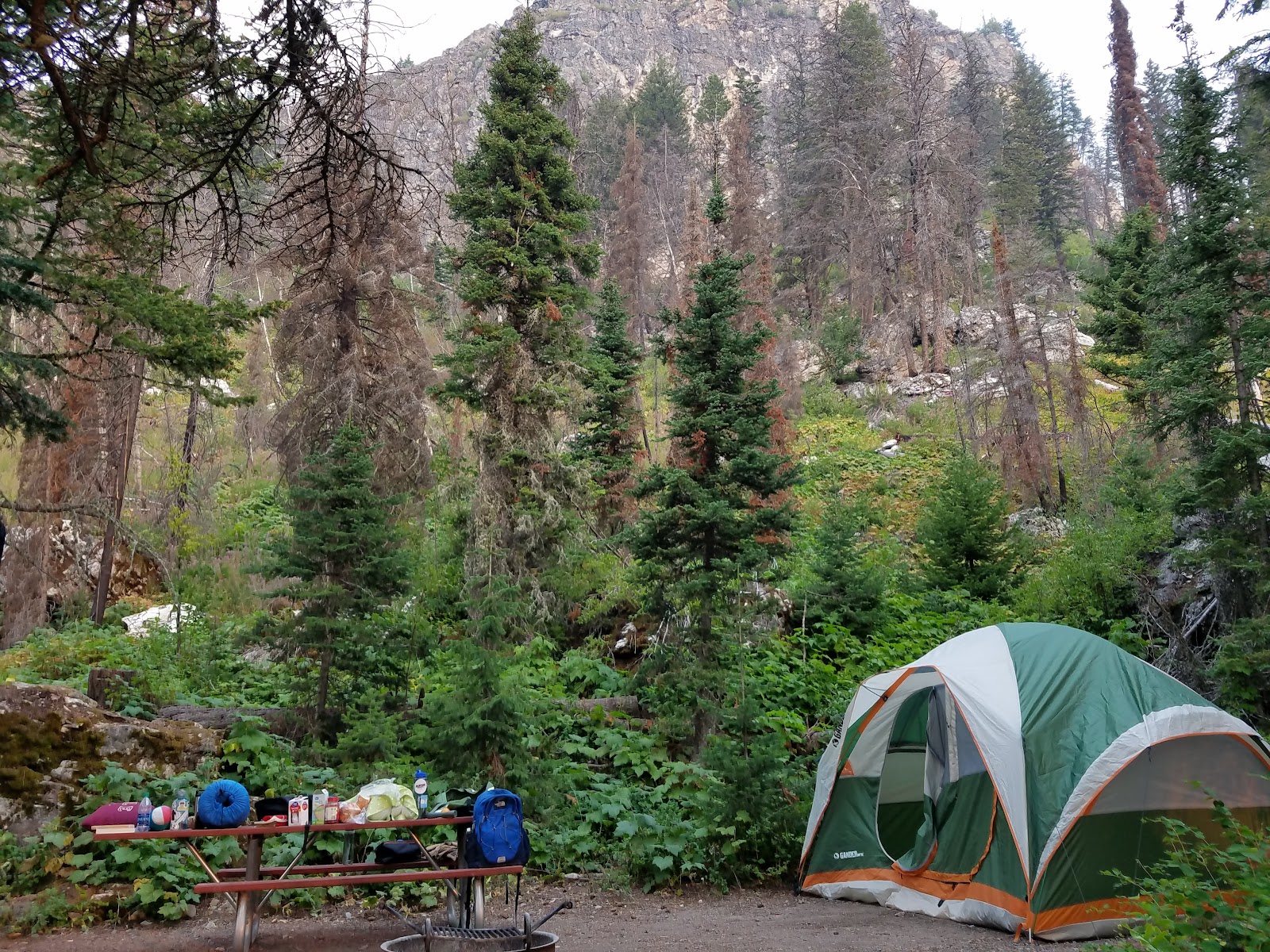 Green and white dome tent beside a loaded picnic table with packs and supplies in a dense Glacier National Park campground.