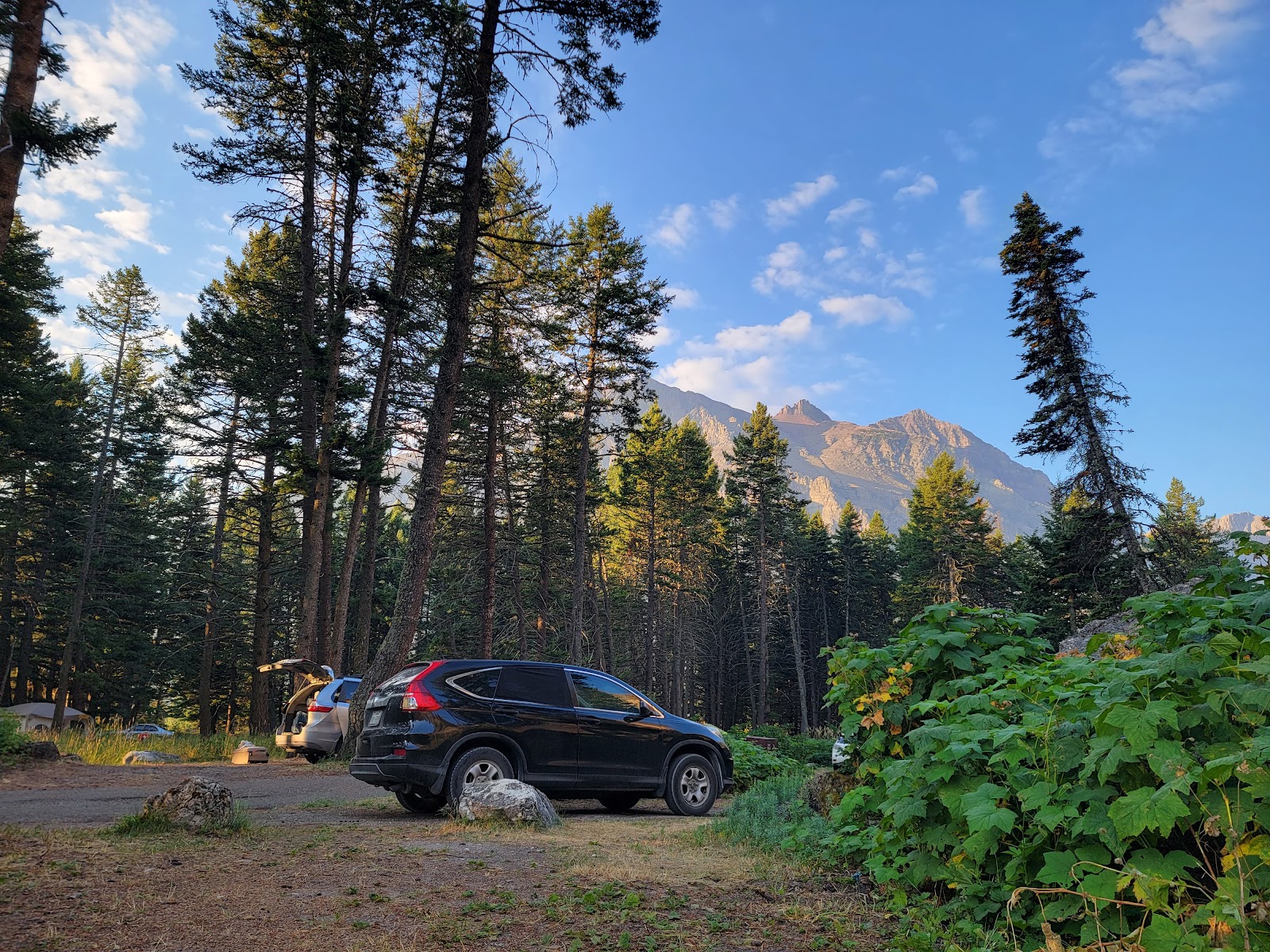 Sunlit campground in Glacier National Park with several parked cars, tall pine trees, and rugged mountain peaks in the distance.