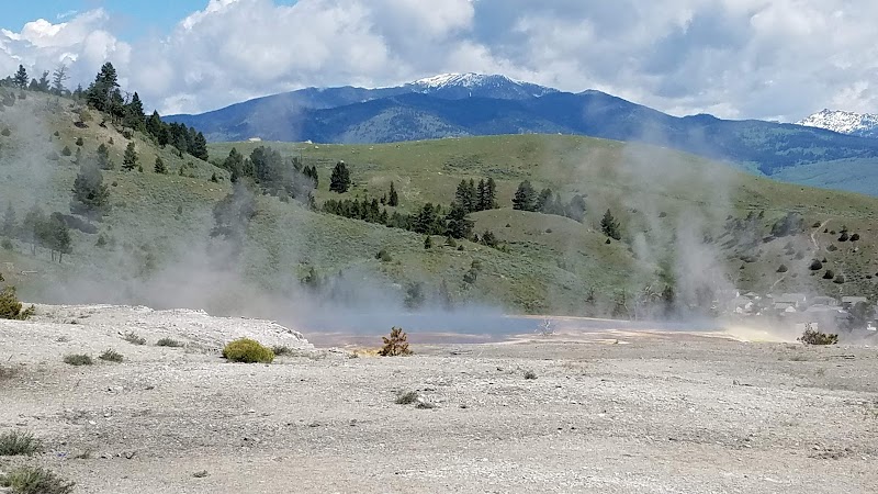 Steam rises from a barren vent field with sparse shrubs, pine hills, and snow-capped mountains in Yellowstone National Park.