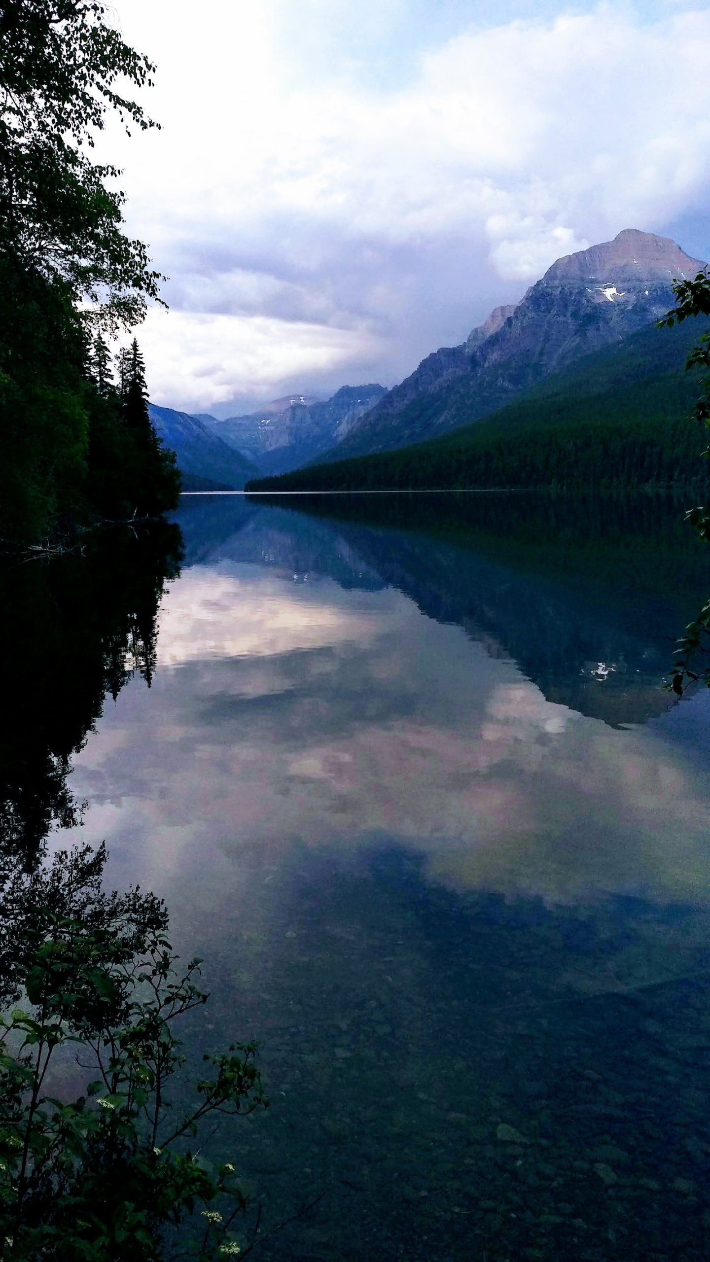 Chapman Peak at Glacier National Park overlooks a tranquil alpine lake framed by evergreen forests and rugged peaks.