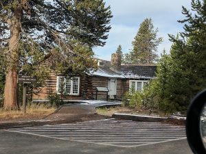 Exterior view of the campground with row of campsites and tall pines