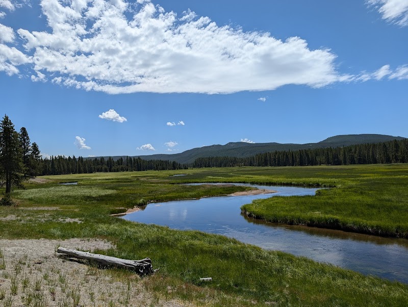 Yellowstone National Park meadow with a winding stream, green grasses, distant pine forest and blue sky.