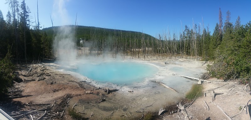 Bright blue hot spring with rising steam, barren mineral ground and dead trees near Yellowstone National Park.