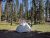 Norris Campground in Yellowstone National Park shows a tent set up among tall pine trees and a bright blue sky.