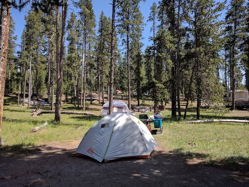Tents pitched among tall pines in a Yellowstone National Park campground, with camping gear and a distant RV.