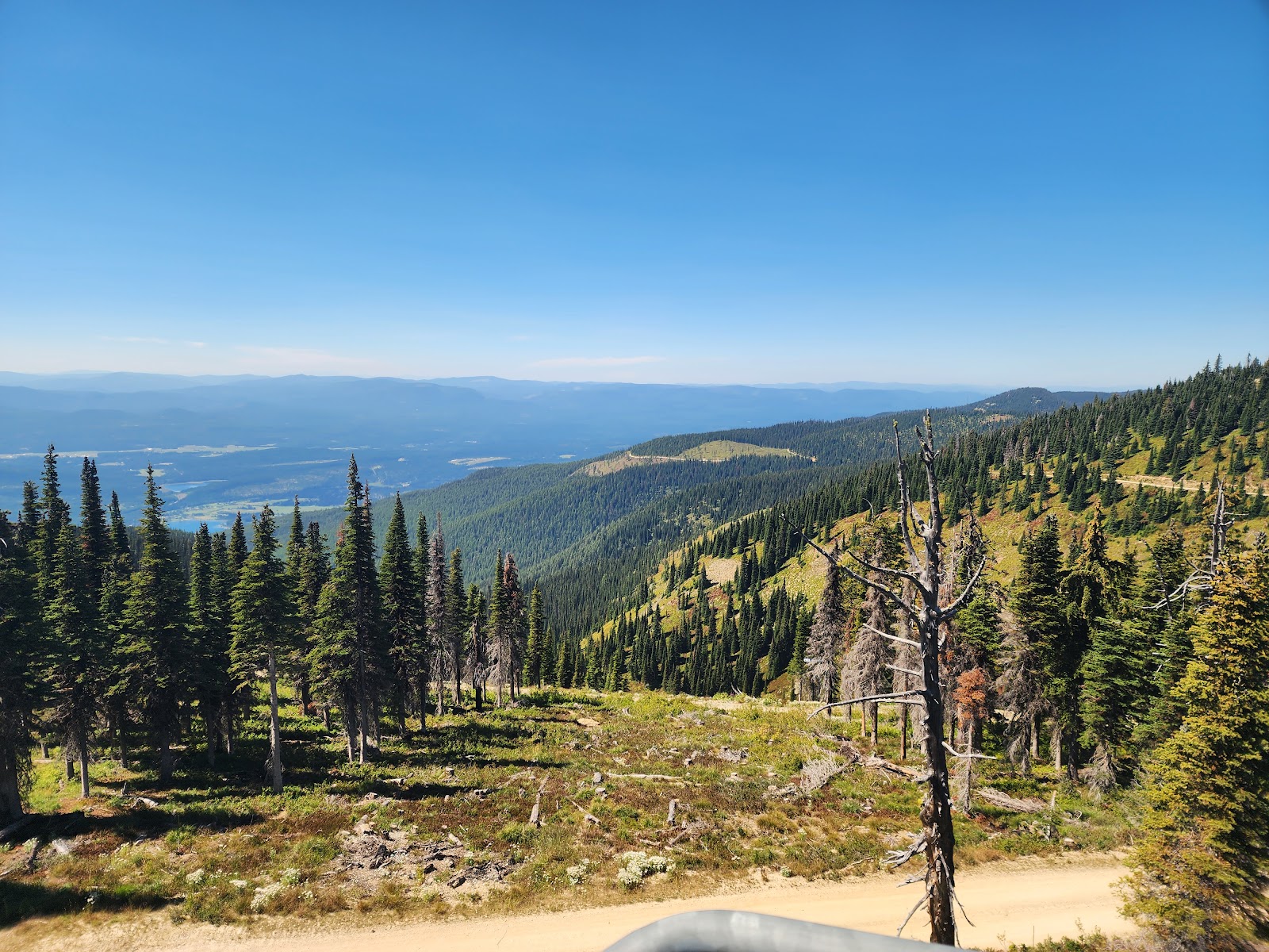 Glacier National Park overlook with pine trees on a ridge, expansive valley below, and distant blue mountains.