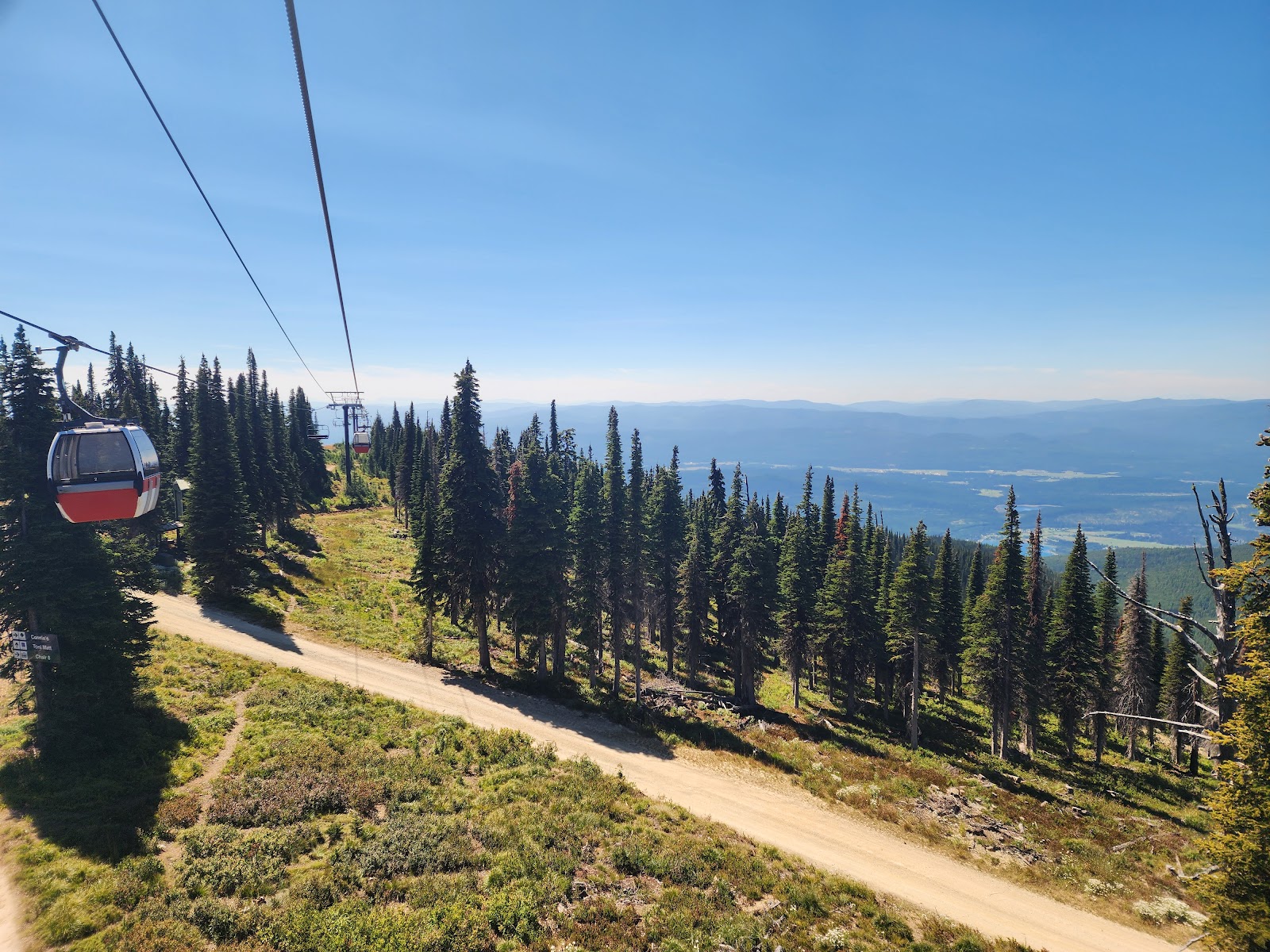 Gondola lift travels over an alpine pine forest with a distant valley in Glacier National Park.