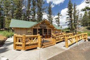 Exterior view of a rustic cabin with a stone chimney and tall pines at a campground