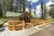 Roosevelt Lodge Cabins