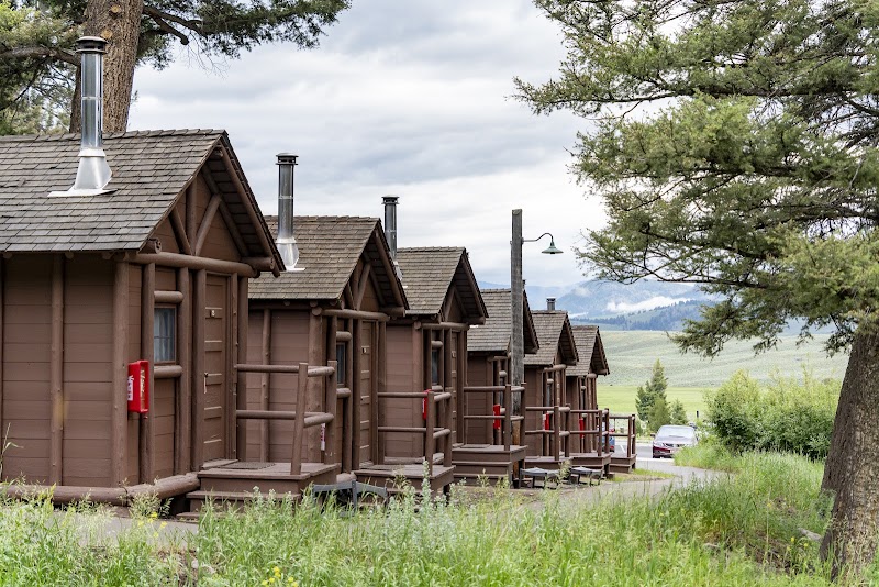 Row of brown wooden cabins with chimneys along a grassy path, pine trees on the right, and distant hills in Yellowstone National Park.