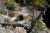 Ptarmigan Falls tumbling over rocky ledges in Glacier National Park, framed by granite walls and pines.