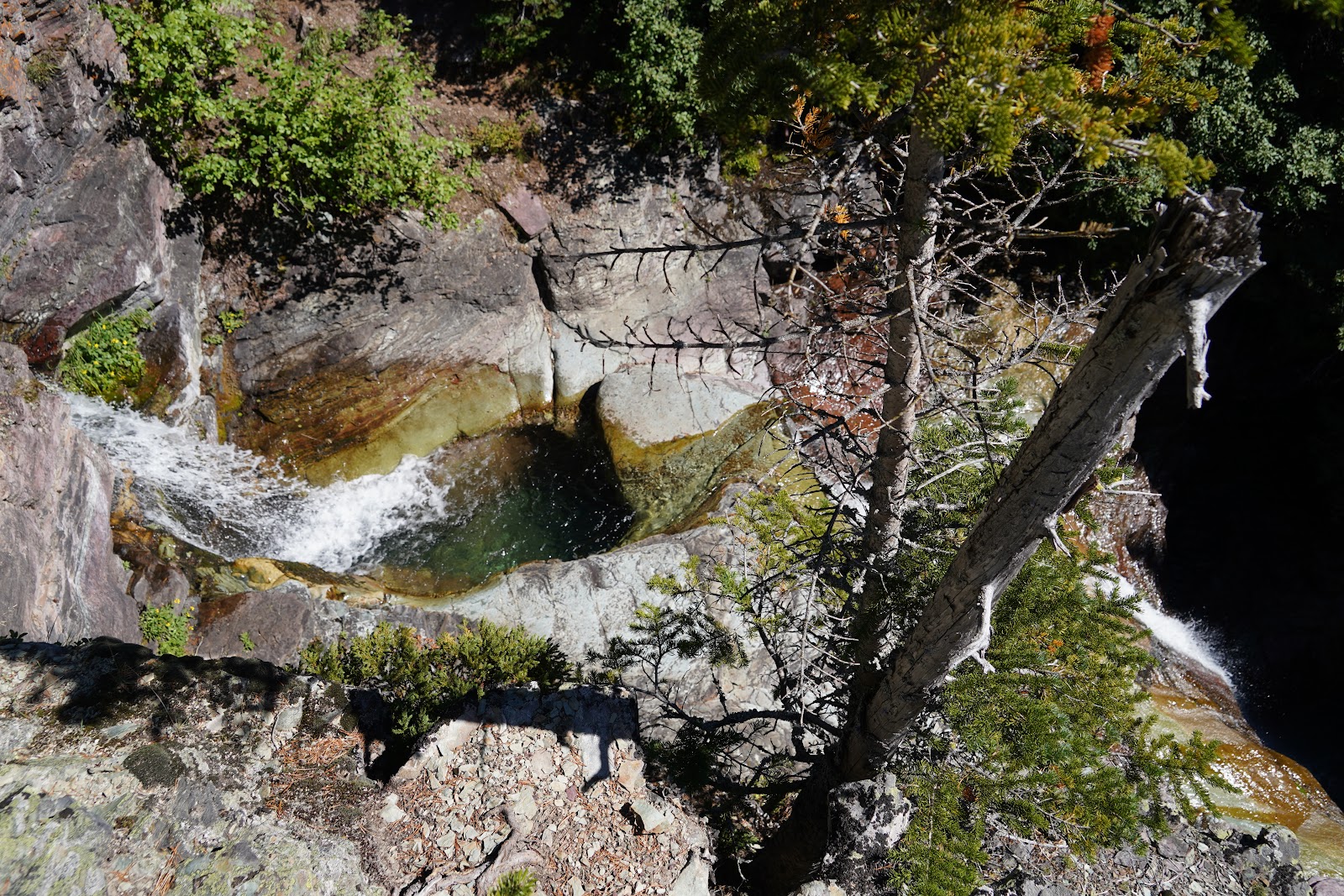 Ptarmigan Falls cascades over rocky ledges into an emerald pool beside cliffs and evergreens, Glacier National Park.