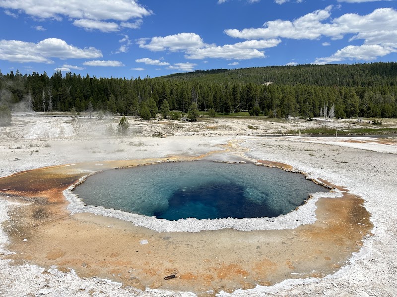 Azure geothermal pool with white mineral rim and orange terraces, steam rising, set against a pine forest in Yellowstone National Park.