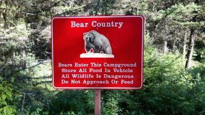 Bright red Bear Country sign with a bear illustration and bold white text, set against pine trees at Glacier National Park campground.