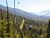 Zip line ride over evergreen forest with distant mountain silhouettes near Glacier National Park.