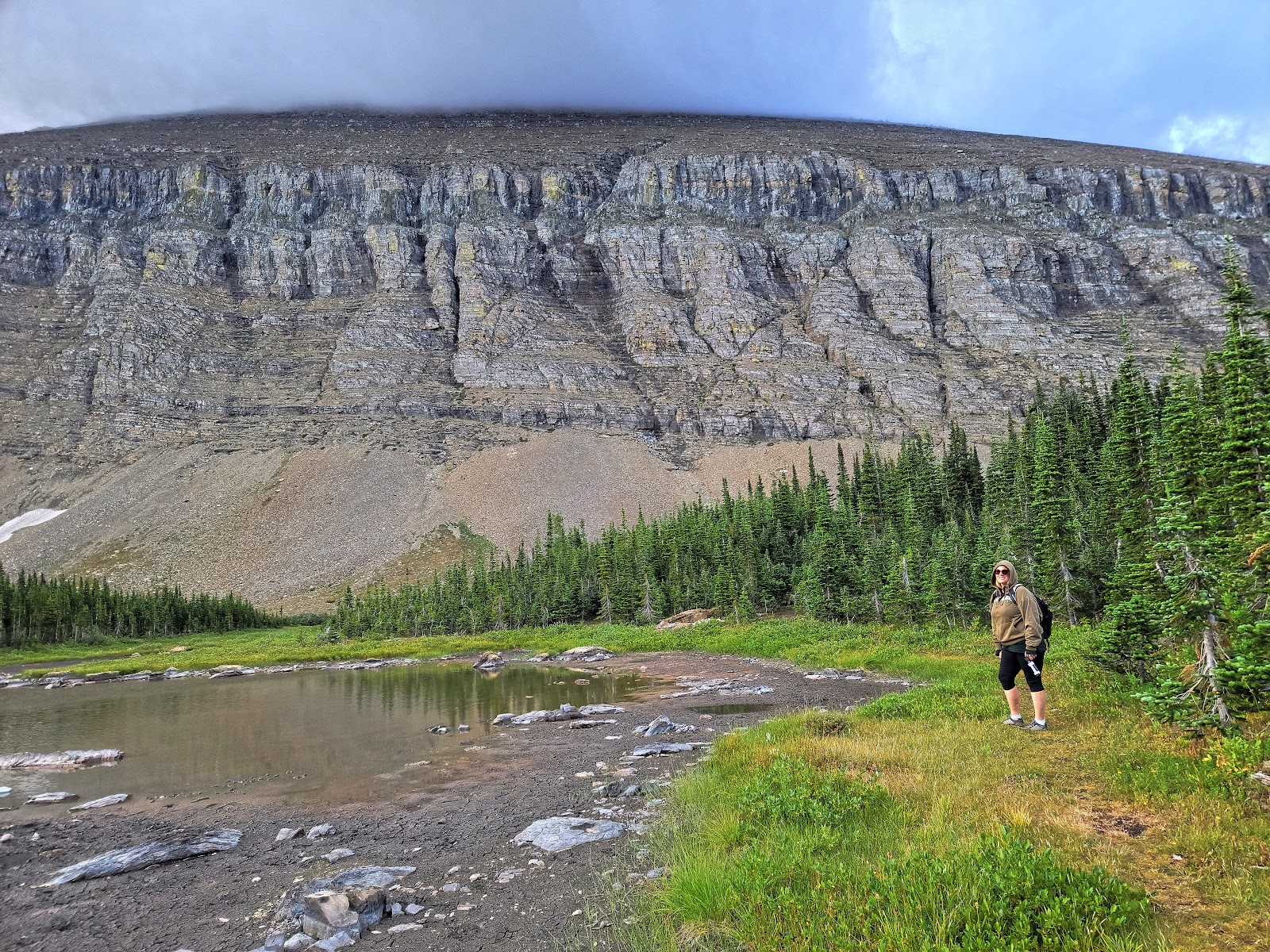Matahpi Peak silhouette towers over a green meadow and reflective pond in Glacier National Park.