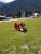 Hungry Horse area in Glacier National Park features a bright red horse statue on a grassy plaza with a museum building in the background.