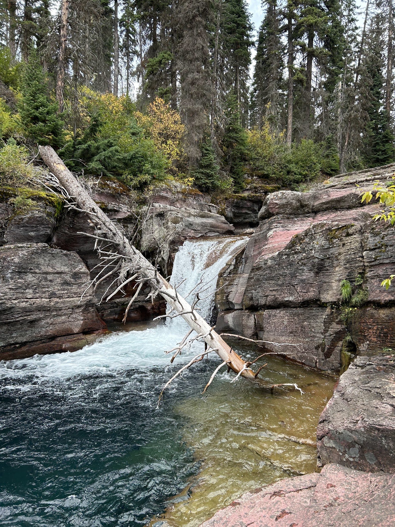 Deadwood Falls