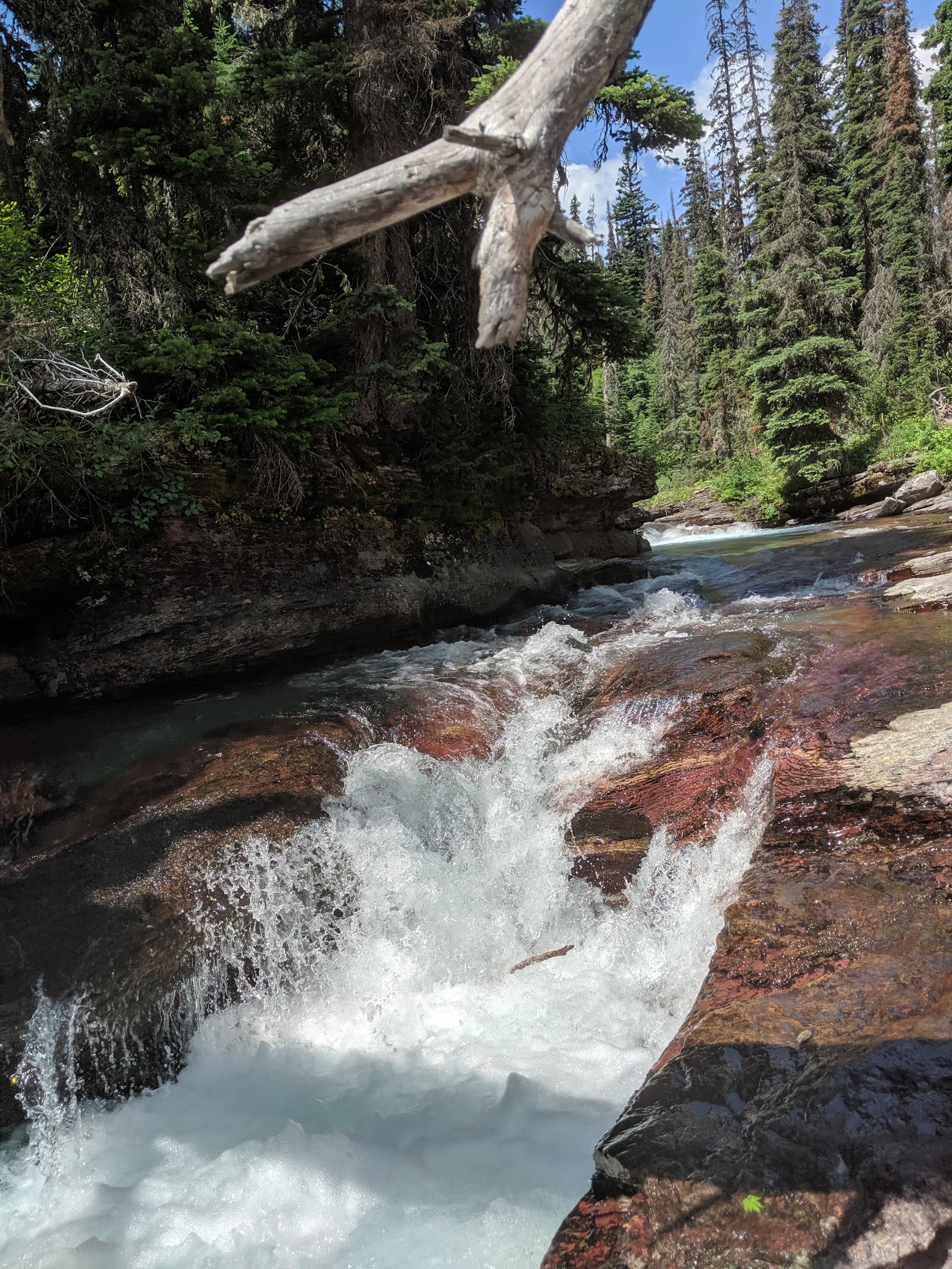 Deadwood Falls, a rugged waterfall along Deadwood Creek in Glacier National Park, surrounded by dense conifer forest