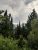 Deadwood Falls framed by evergreen trees in Glacier National Park, with snow-capped peaks in the distance.