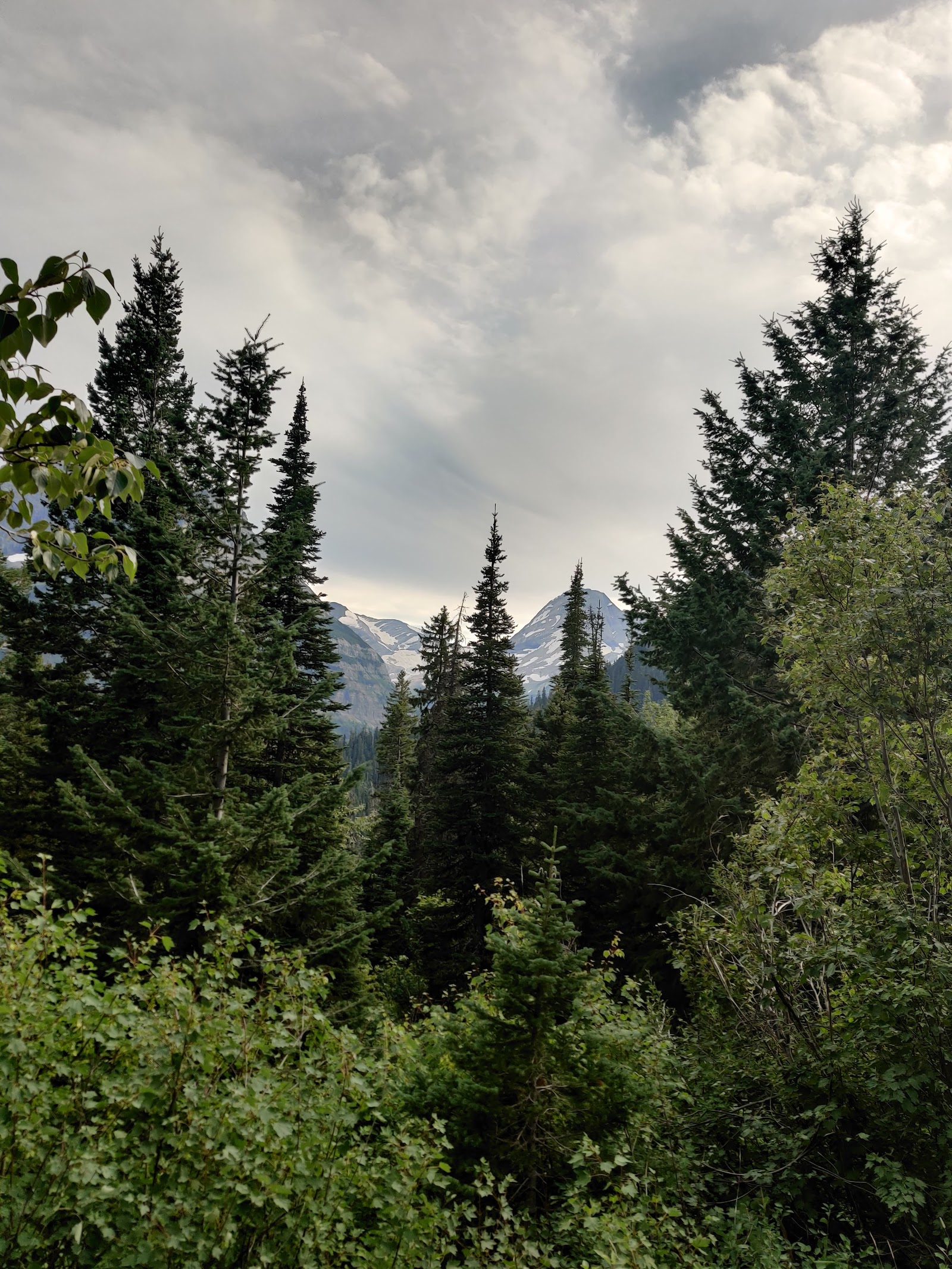 Deadwood Falls framed by evergreen trees in Glacier National Park, with snow-capped peaks in the distance.