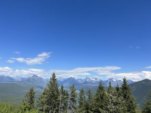 Apgar Lookout Trailhead overlooks Glacier National Park with evergreen trees and distant snow-capped peaks under a clear blue sky.