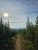Apgar Lookout Trailhead in Glacier National Park, dirt path winding through pine forest toward distant mountains.