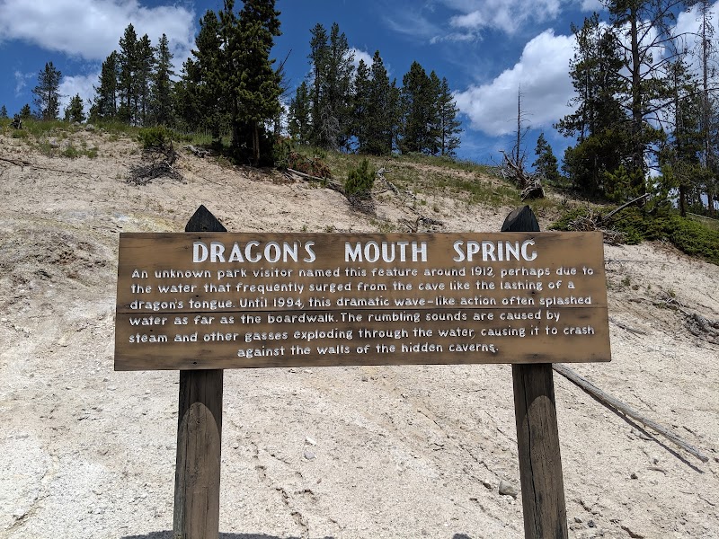 Wooden sign for Dragon's Mouth Spring on a sandy slope with pine trees and blue sky in Yellowstone National Park.