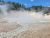 Steam rises from a muddy, cracked basin in Mud Volcano at Yellowstone National Park, with forested hills behind.