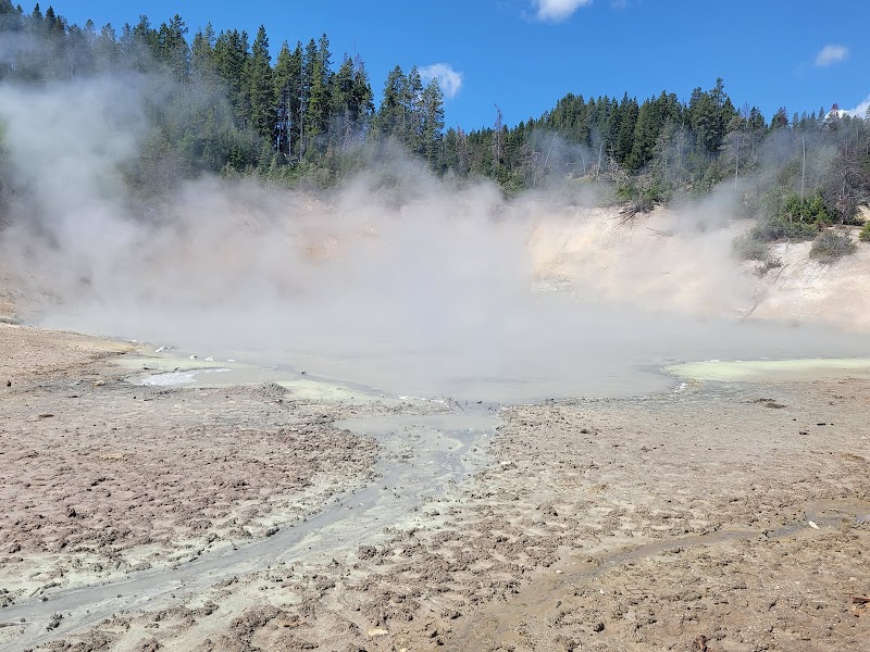 Steam rises from a muddy, cracked basin in Mud Volcano at Yellowstone National Park, with forested hills behind.