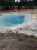 Bright blue geothermal pool with a white mineral rim, surrounded by orange-brown deposits and a forested Yellowstone National Park backdrop.