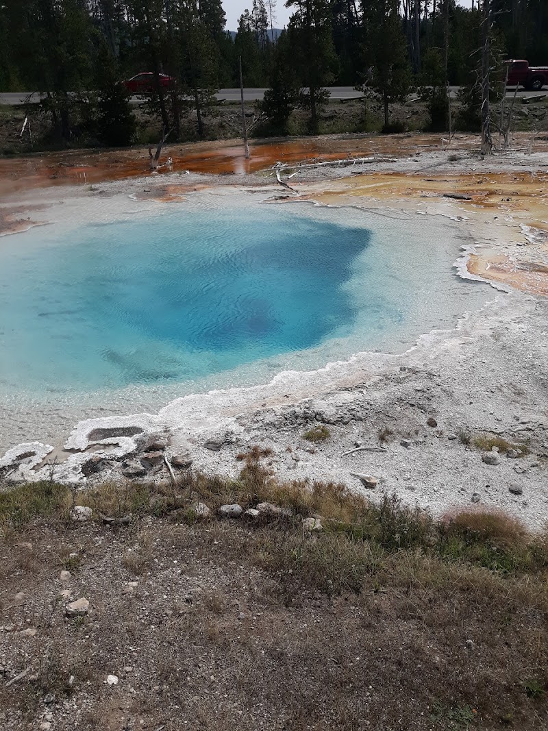 Bright blue geothermal pool with a white mineral rim, surrounded by orange-brown deposits and a forested Yellowstone National Park backdrop.