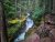 Avalanche Lake Trailhead in Glacier National Park winds beside mossy rocks and a rushing creek.