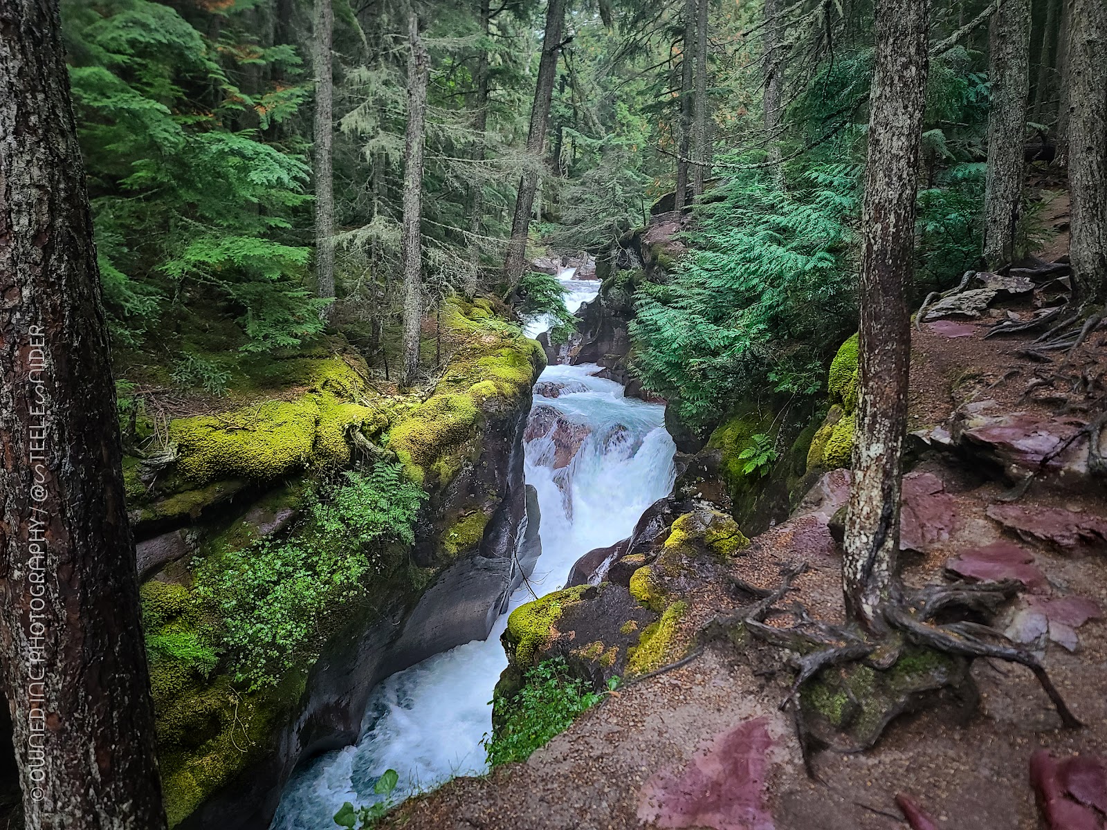 Avalanche Lake Trailhead, Glacier National Park: mossy rocks, towering pines, and a rushing blue-green stream — Lake McDonald
