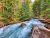 Avalanche Lake Trailhead in Glacier National Park follows a rushing turquoise river through evergreen forest.
