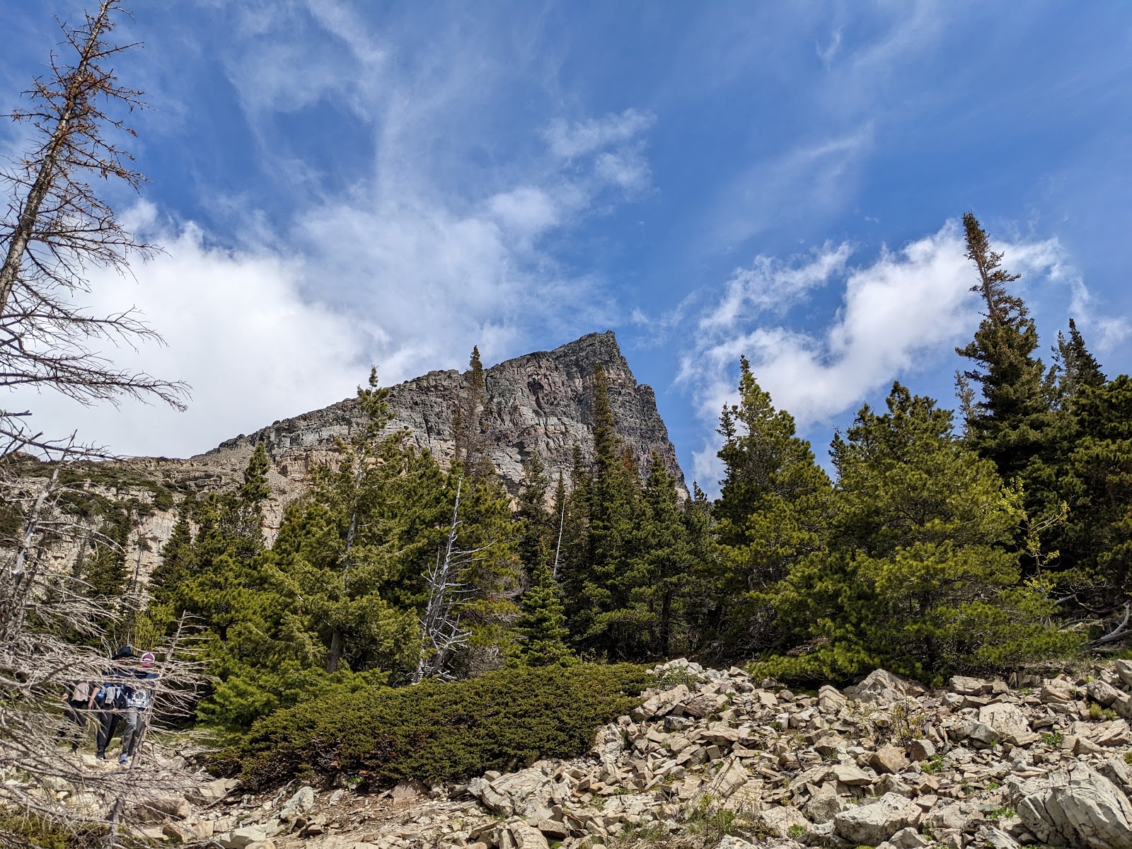 Apikuni Falls trail winds through a rocky alpine basin with evergreen trees toward the waterfall in Glacier National Park.