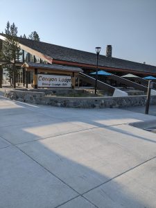 Exterior view of wooden cabins and pine trees surrounding the campground entrance
