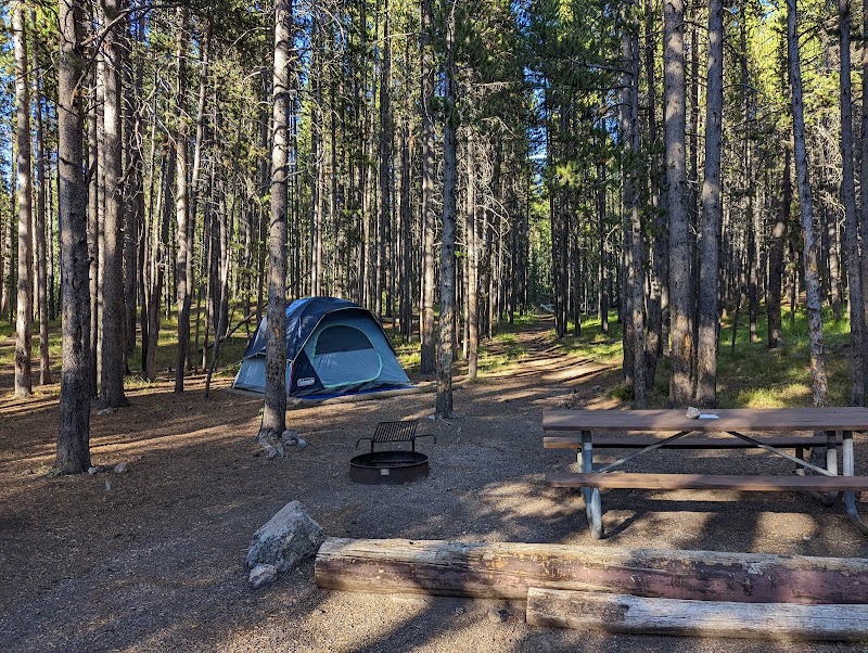 Canyon Campground tent nestled among pine trees in Yellowstone National Park, with a shared picnic table and fire ring nearby.