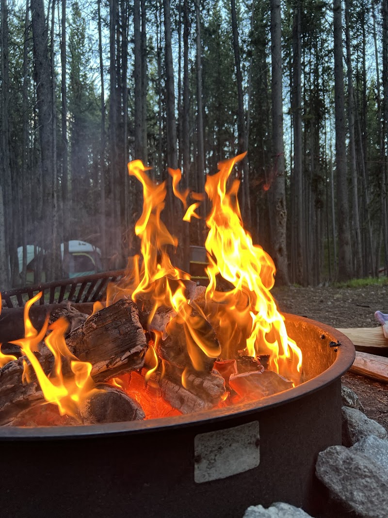 Canyon Campground in Yellowstone National Park, a warm campfire crackling over logs with a pine forest backdrop.