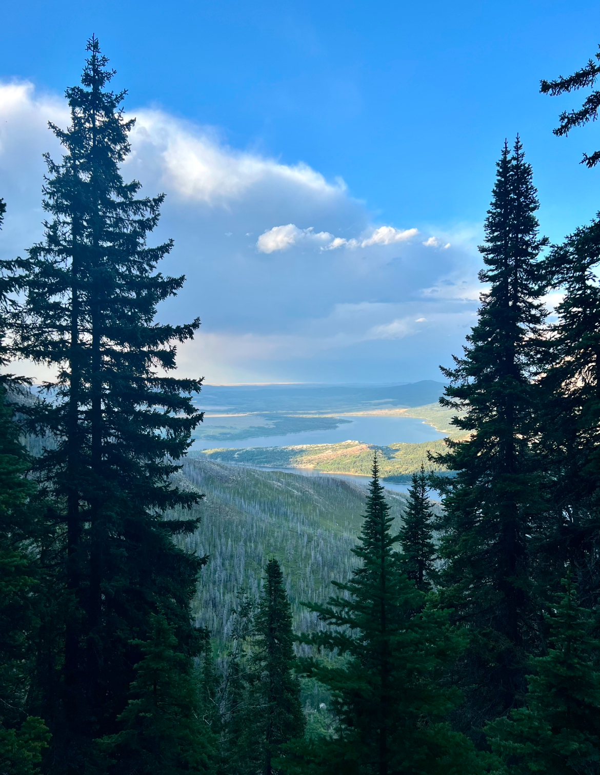 Bertha Trailhead overlook in Glacier National Park gazes over a distant lake framed by pine forests.
